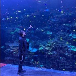 Meet your Posher, Tyrus